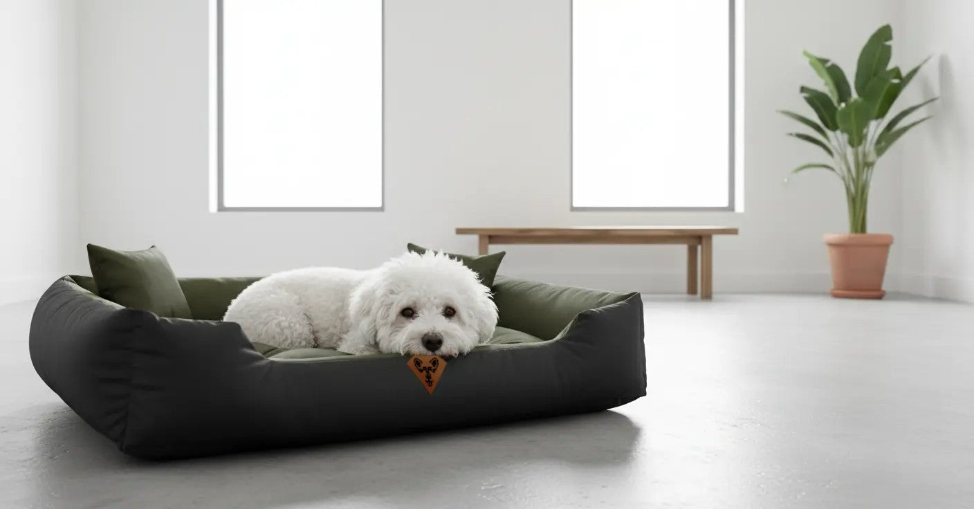 Legowisko dla psa Dogs4Life "BASIC"