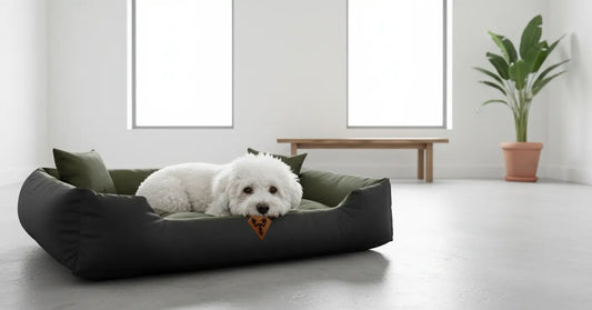 Legowisko dla psa Dogs4Life "BASIC"