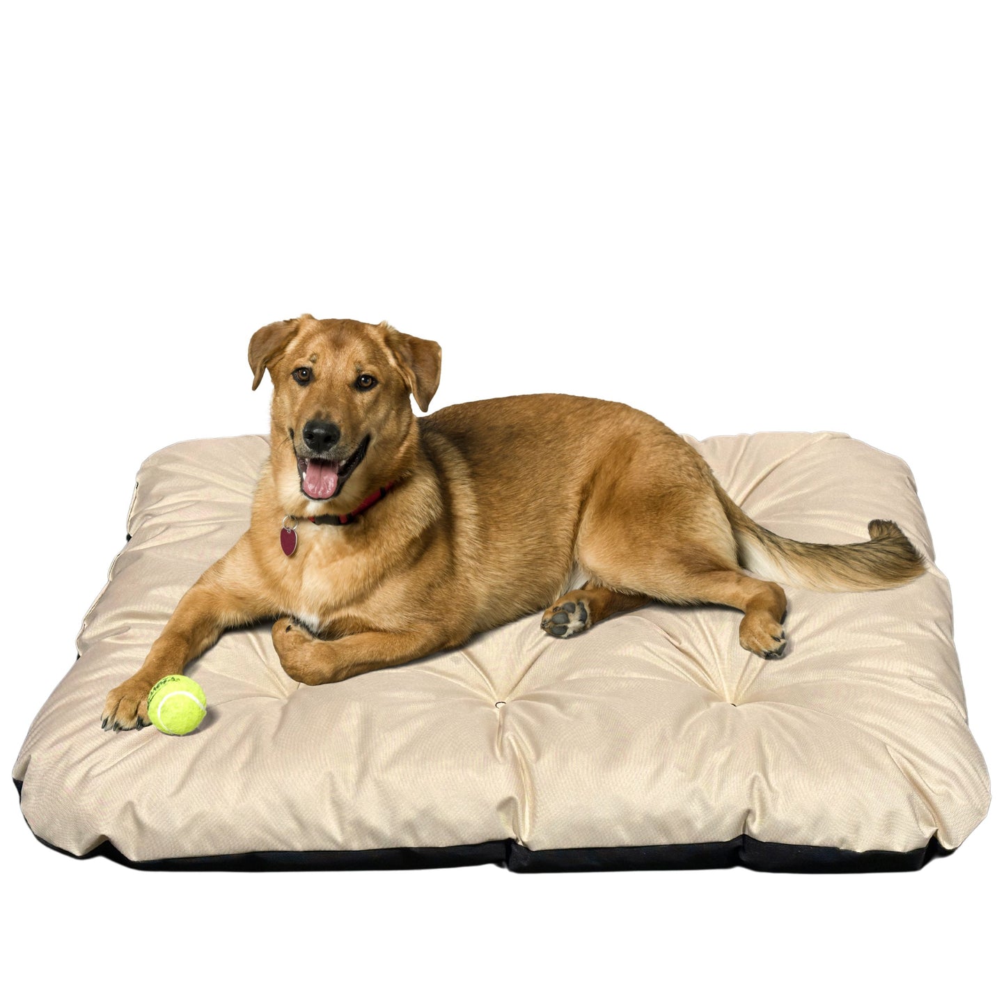 Legowisko dla psa Dogs4Life "PILLOW" kolory