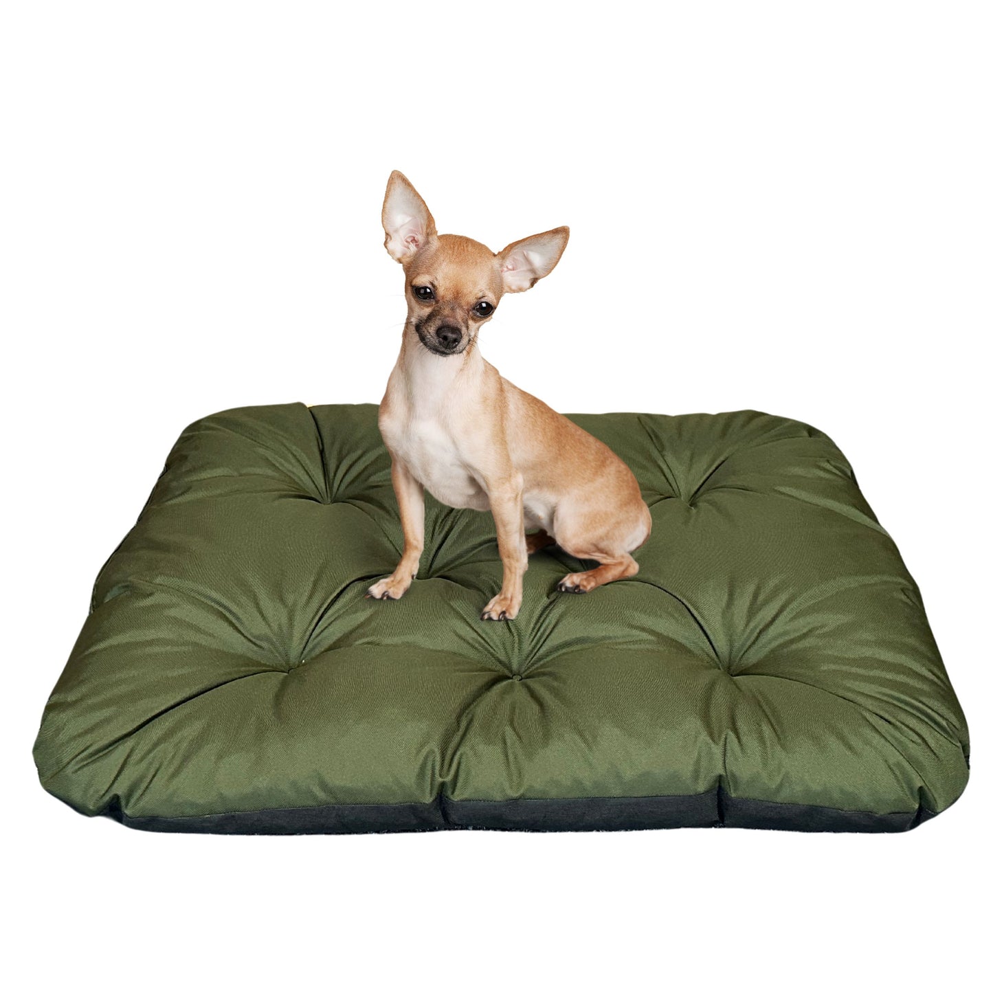 Legowisko dla psa Dogs4Life "PILLOW" kolory